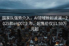 国家队强势介入，AI领域掀起波澜—2025款eπ007上市，起售价仅11.59万元起