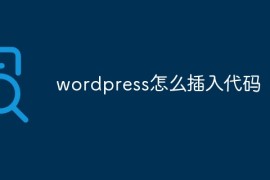 wordpress怎么插入代码