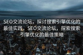 SEO交流论坛，探讨搜索引擎优化的最佳实践，SEO交流论坛，探索搜索引擎优化的最佳策略