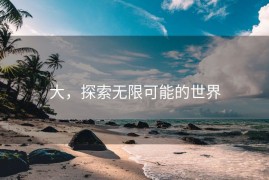 大，探索无限可能的世界