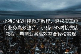 小猪CMS对接微店教程，轻松实现电商业务高效整合，小猪CMS对接微店教程，电商业务高效整合轻松实现