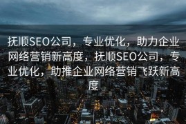 抚顺SEO公司，专业优化，助力企业网络营销新高度，抚顺SEO公司，专业优化，助推企业网络营销飞跃新高度