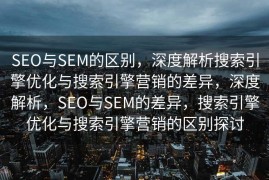 SEO与SEM的区别，深度解析搜索引擎优化与搜索引擎营销的差异，深度解析，SEO与SEM的差异，搜索引擎优化与搜索引擎营销的区别探讨