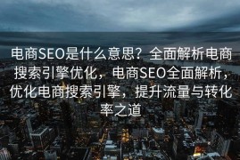 电商SEO是什么意思？全面解析电商搜索引擎优化，电商SEO全面解析，优化电商搜索引擎，提升流量与转化率之道