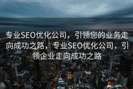 专业SEO优化公司，引领您的业务走向成功之路，专业SEO优化公司，引领企业走向成功之路