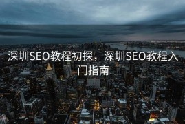深圳SEO教程初探，深圳SEO教程入门指南