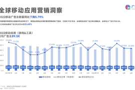 广大大：2022上半年移动游戏营销白皮书-2025最新seo资料