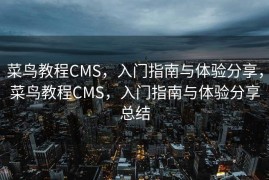 菜鸟教程CMS，入门指南与体验分享，菜鸟教程CMS，入门指南与体验分享总结