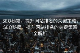 SEO秘籍，提升网站排名的关键策略，SEO秘籍，提升网站排名的关键策略全解析