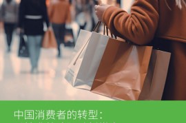 艾睿铂AlixPartners：2025年中国消费者的转型以精准战略驱动新常态-2025最新seo资料