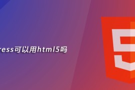 wordpress可以用html5吗