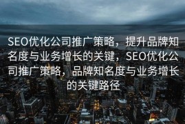 SEO优化公司推广策略，提升品牌知名度与业务增长的关键，SEO优化公司推广策略，品牌知名度与业务增长的关键路径