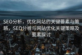 SEO分析，优化网站的关键要素与策略，SEO分析与网站优化关键策略及要素探讨