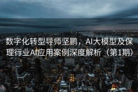 数字化转型导师坚鹏，AI大模型及保理行业AI应用案例深度解析（第1期）