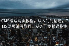 CMS编写网页教程，从入门到精通，CMS网页编写教程，从入门到精通指南