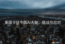 美国卡往中国AI大脑，挑战与应对