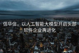 信华信，以人工智能大模型开启头部软件企业再进化