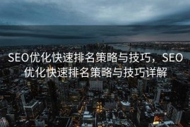 SEO优化快速排名策略与技巧，SEO优化快速排名策略与技巧详解
