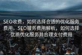 SEO收费，如何选择合适的优化服务费用，SEO服务费用解析，如何选择优质优化服务并合理支付费用