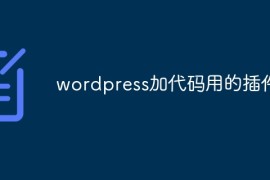 wordpress加代码用的插件
