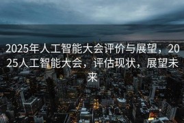 2025年人工智能大会评价与展望，2025人工智能大会，评估现状，展望未来