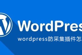 wordpress防采集插件怎么用