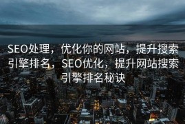 SEO处理，优化你的网站，提升搜索引擎排名，SEO优化，提升网站搜索引擎排名秘诀