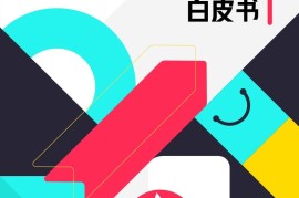 TikTok：2023社群电商爆品营销白皮书-2025最新seo资料