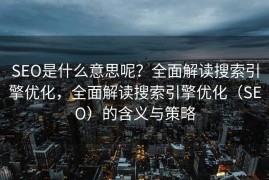SEO是什么意思呢？全面解读搜索引擎优化，全面解读搜索引擎优化（SEO）的含义与策略