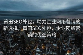 莆田SEO外包，助力企业网络营销的新选择，莆田SEO外包，企业网络营销的优选策略