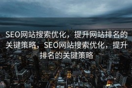 SEO网站搜索优化，提升网站排名的关键策略，SEO网站搜索优化，提升排名的关键策略