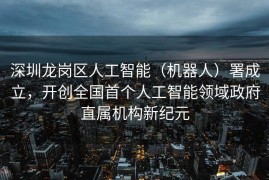 深圳龙岗区人工智能（机器人）署成立，开创全国首个人工智能领域政府直属机构新纪元