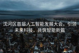 沈河区首届人工智能发展大会，引领未来科技，共筑智能新篇