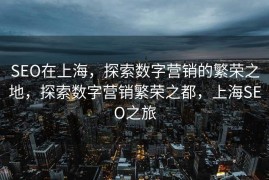 SEO在上海，探索数字营销的繁荣之地，探索数字营销繁荣之都，上海SEO之旅