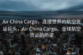 Air China Cargo，连接世界的航空货运巨头，Air China Cargo，全球航空货运的桥梁