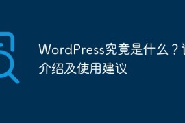 WordPress究竟是什么？详细介绍及使用建议