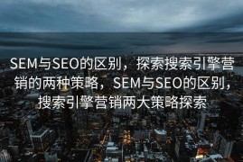 SEM与SEO的区别，探索搜索引擎营销的两种策略，SEM与SEO的区别，搜索引擎营销两大策略探索