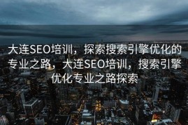 大连SEO培训，探索搜索引擎优化的专业之路，大连SEO培训，搜索引擎优化专业之路探索