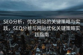 SEO分析，优化网站的关键策略与实践，SEO分析与网站优化关键策略实践指南
