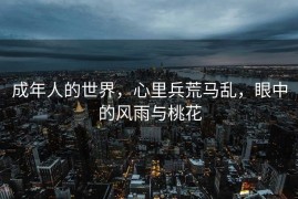成年人的世界，心里兵荒马乱，眼中的风雨与桃花