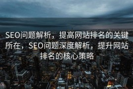 SEO问题解析，提高网站排名的关键所在，SEO问题深度解析，提升网站排名的核心策略