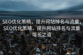 SEO优化策略，提升网站排名与流量，SEO优化策略，提升网站排名与流量增长之道