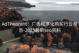 AdTheorent：广告程序化购买行业报告-2025最新seo资料