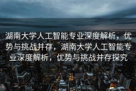 湖南大学人工智能专业深度解析，优势与挑战并存，湖南大学人工智能专业深度解析，优势与挑战并存探究