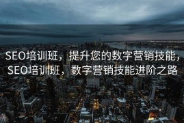 SEO培训班，提升您的数字营销技能，SEO培训班，数字营销技能进阶之路