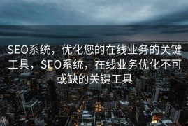 SEO系统，优化您的在线业务的关键工具，SEO系统，在线业务优化不可或缺的关键工具