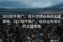 SEO软件推广，提升在线业务的关键策略，SEO软件推广，在线业务增长的关键策略