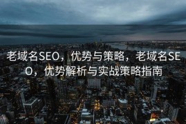 老域名SEO，优势与策略，老域名SEO，优势解析与实战策略指南