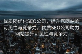 优质网优化SEO公司，提升您网站的可见性与竞争力，优质SEO公司助力网站提升可见性与竞争力