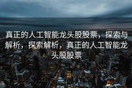 真正的人工智能龙头股股票，探索与解析，探索解析，真正的人工智能龙头股股票